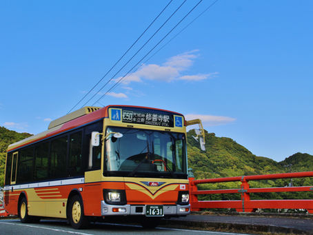 下田⇄修善寺の新バス運行🚌✨!