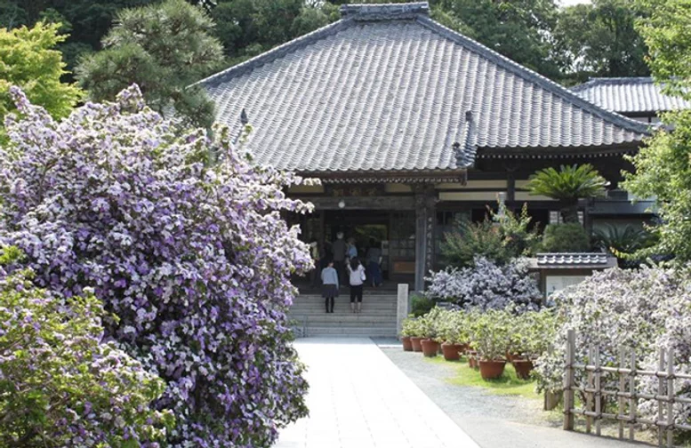 了仙寺