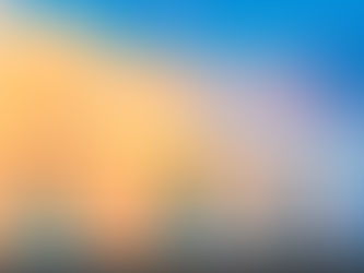 アロハシャワーって…?🌺