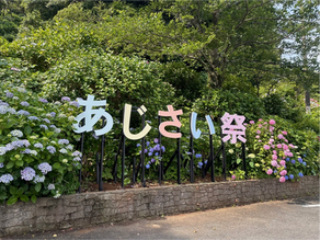 6月4日の開花状況は!?