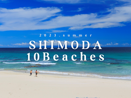 10のビーチ遊泳状況🌊