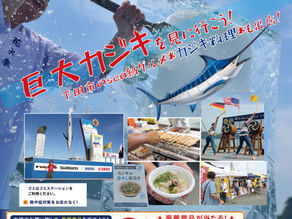 今週末は「マリンフェスタ下田」開催!🚤✨