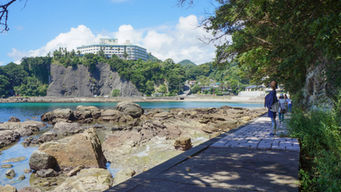 和歌の浦遊歩道 通行再開のお知らせ🌊✨