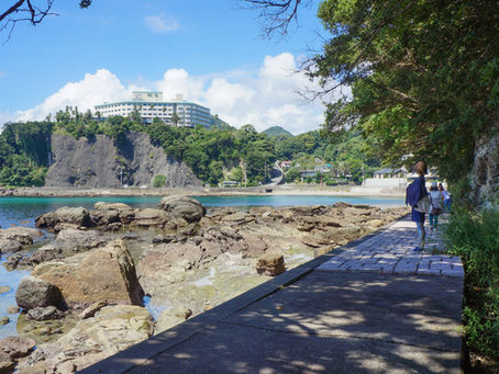 和歌の浦遊歩道 通行再開のお知らせ🌊✨