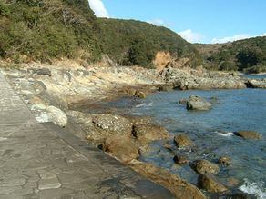 須崎遊歩道 通行再開のお知らせ🌿✨