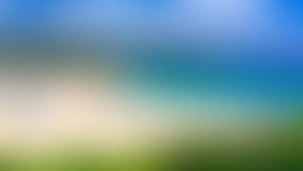 初夏の下田で楽しむ!GWおすすめスポット🌿