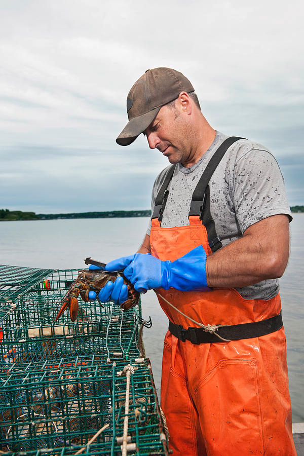 1-lobsterman-measures-length-of-lobster-nicole-wolf.jpg