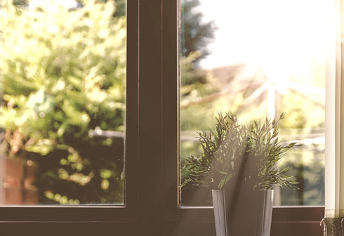 green leafed plant in front of window in shallow focus photography_edited.jpg
