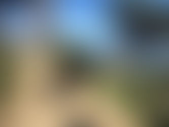 Dricus, Rassie, Google Goal Setting and Activating The Dog Inside You 