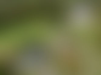 Mariage en Normandie: 11 lieux avec hébergement pour un week-end inoubliable