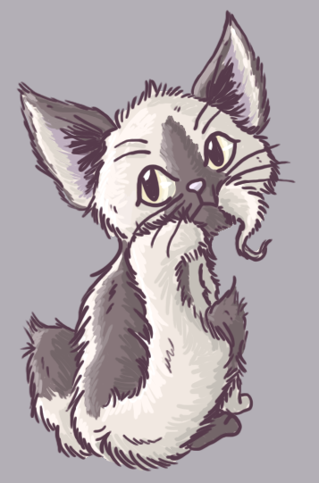 Cat Tail