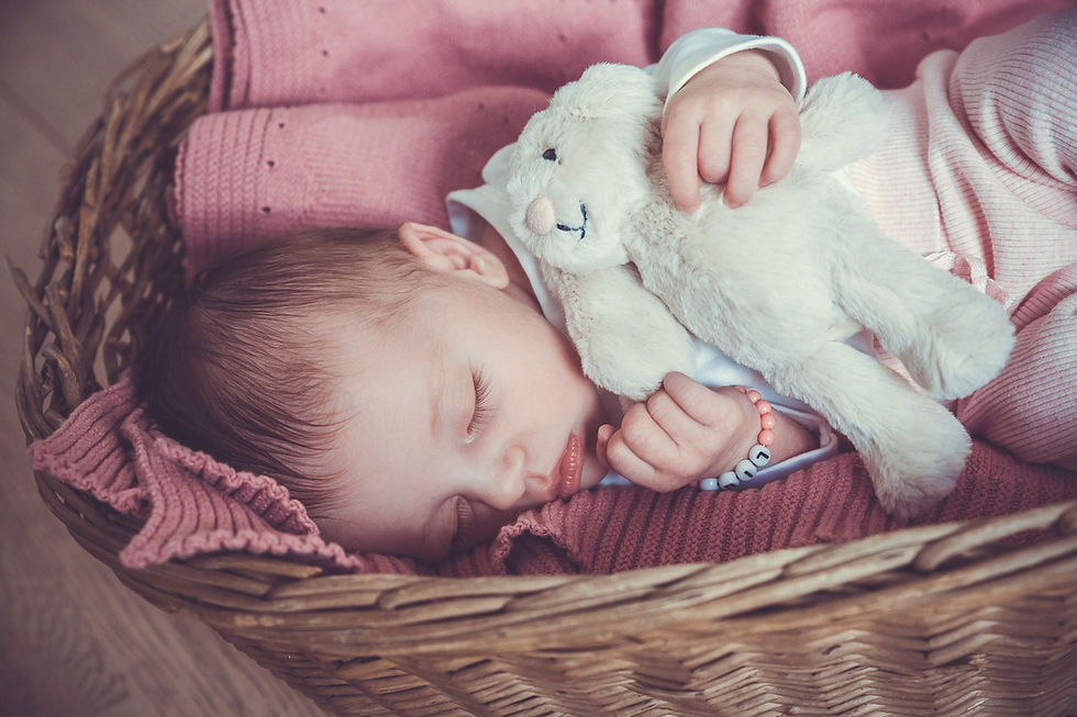 Miniaturbild: 3er Kombo-Shooting Family