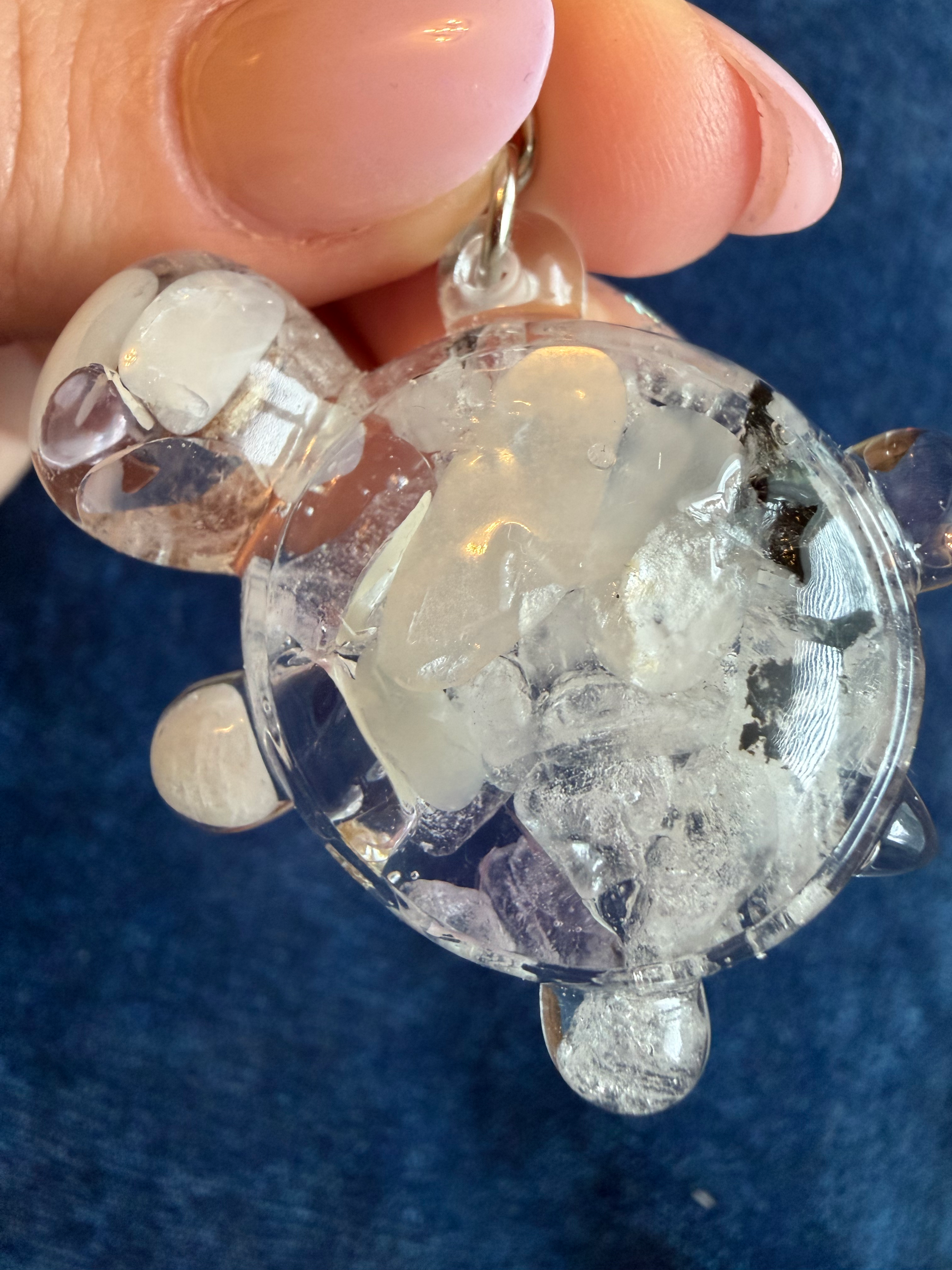 Moonlight Cleanse Turtle (Stars)