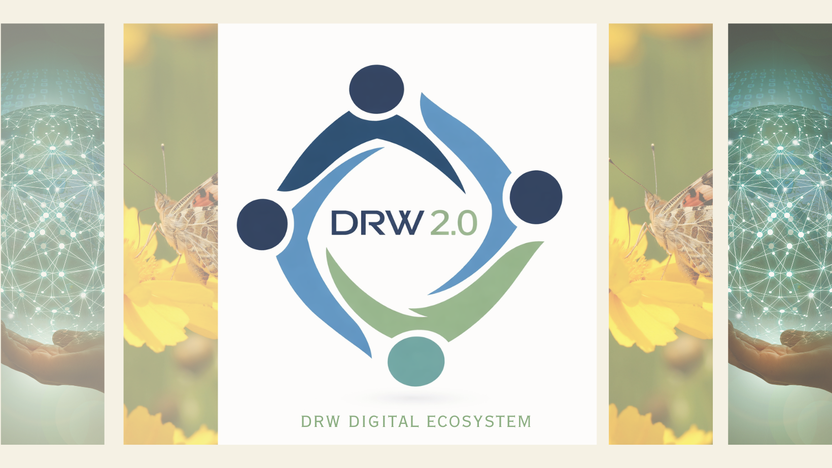 Drw Software DRW Life Skills Institute | DRW Digital Ecosystem Web3