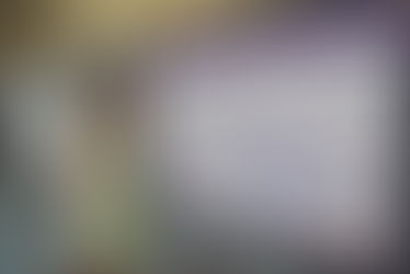 PRESS RELEASE: Dr.W presents Research Case Study at the 2016 FSMTA Convention in Orlando, Florida