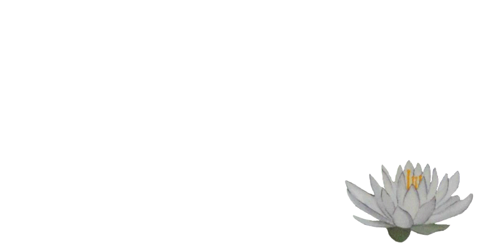 lily-floating-3.gif