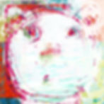 Tahiti Bear
