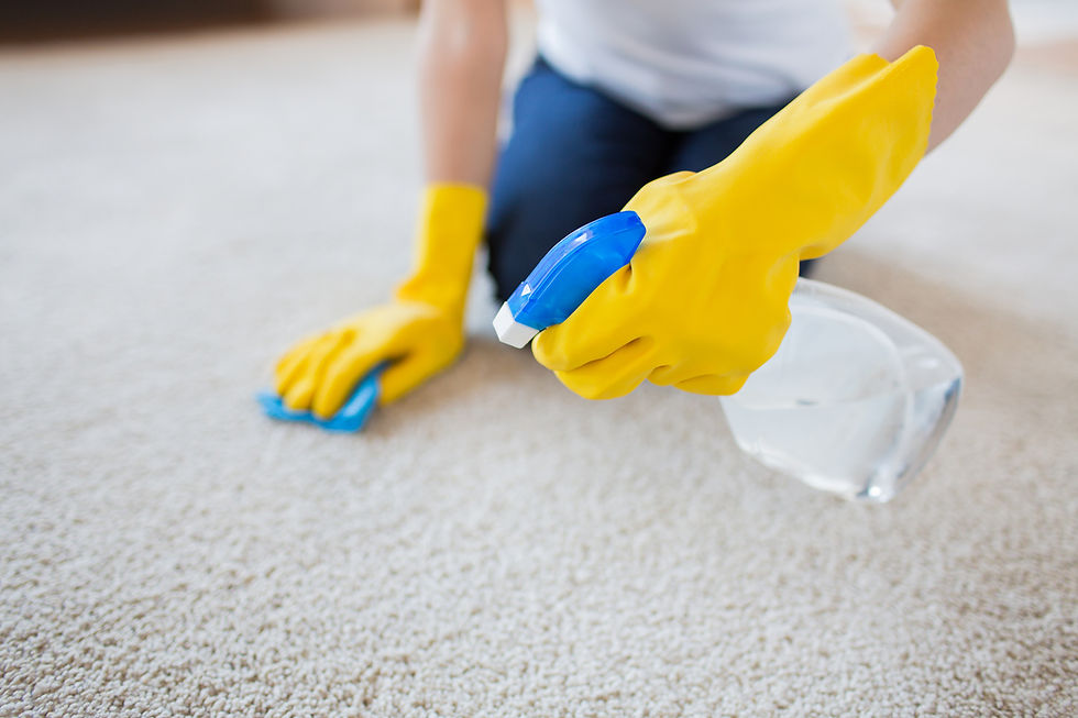 cleaning companies
