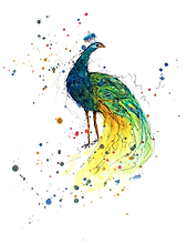 Peacock.png