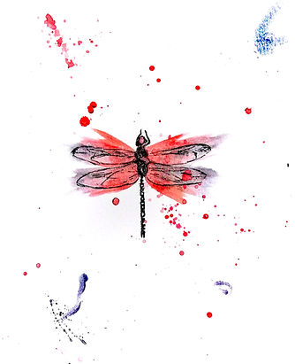 Dragonfly White Background.jpg