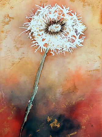 Dandelion.jpg