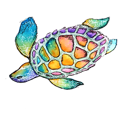 Turtle.png