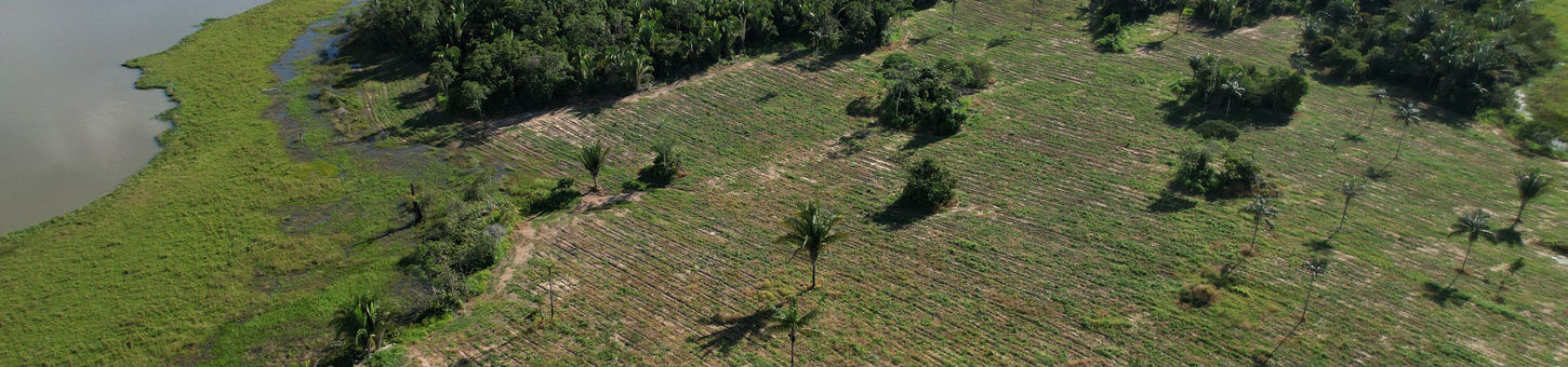 DJI_0308.JPG