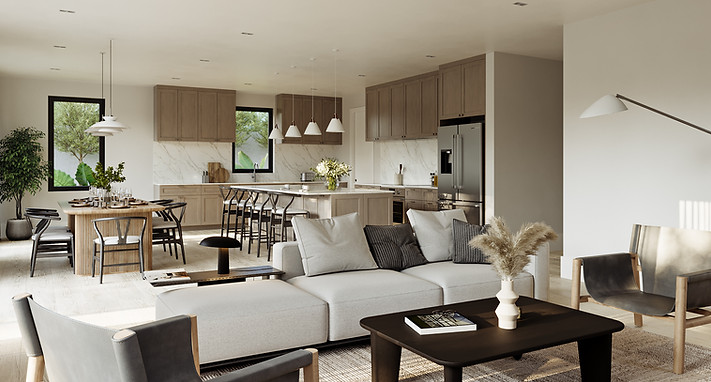 MOMO_Penumbra_Living-Kitchen