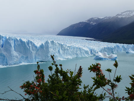 Das blaue Wunder Patagoniens
