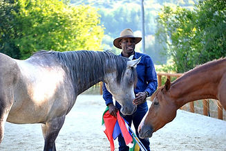 ZECKS SAMU NATURAL HORSEMANSHIP
