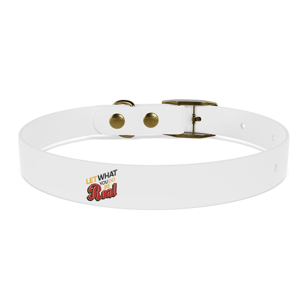 Thumbnail: ZP & Let What You Do Be Real Dog Collar