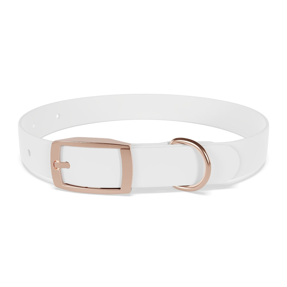 Thumbnail: Let What You Do Be Real Dog Collar