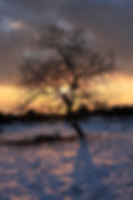 Pause for Gratitude, Kindness, Giving