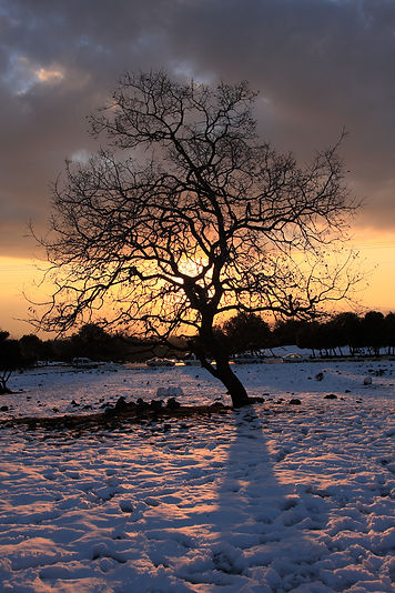 Snowy Sunset