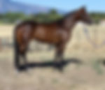 Code Name Valor right side.jpeg