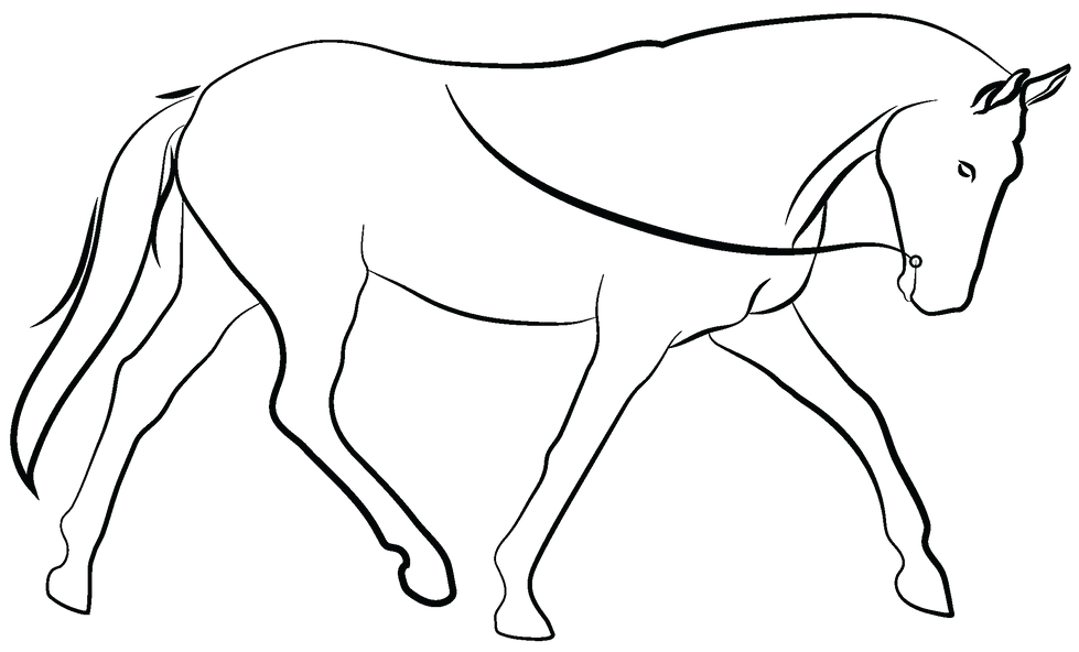 ELC - Logo image Black