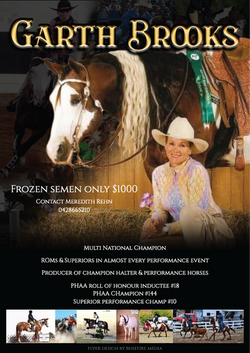 Garth Brooks flyer