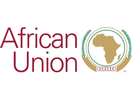 L'Union Africaine et les changements anticonstitutionnels...