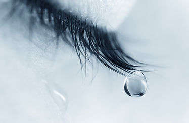 shutterstock_492817822.jpg
