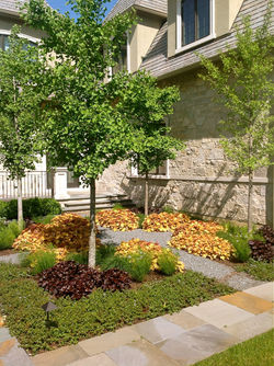 Burr Ridge, IL Estate