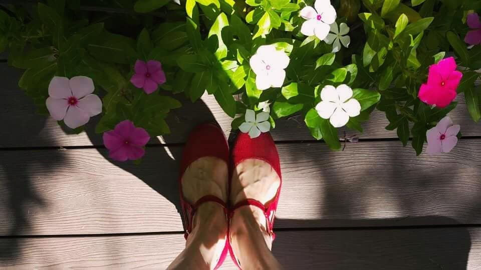 Thumbnail: Katrinski Flats Reds