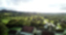 Tower view.jpg