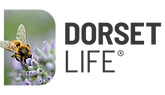 DorsetLifeLogoBreakout1. png.png