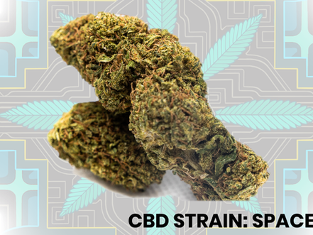 Don't Forget About CBD - It Might Just Make Your THC Experience Even Better.