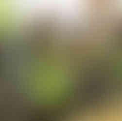 Daniel Leading Afterschool Planting photo by Tommy Leonardi .jpg