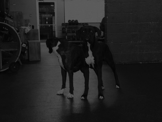 10/27/2025 - 11/2/2025