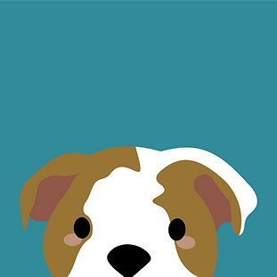 site_laroca_bulldog_ingles_5x_edited.png