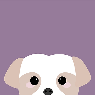 site_laroca_shihtzu_5x_edited.png
