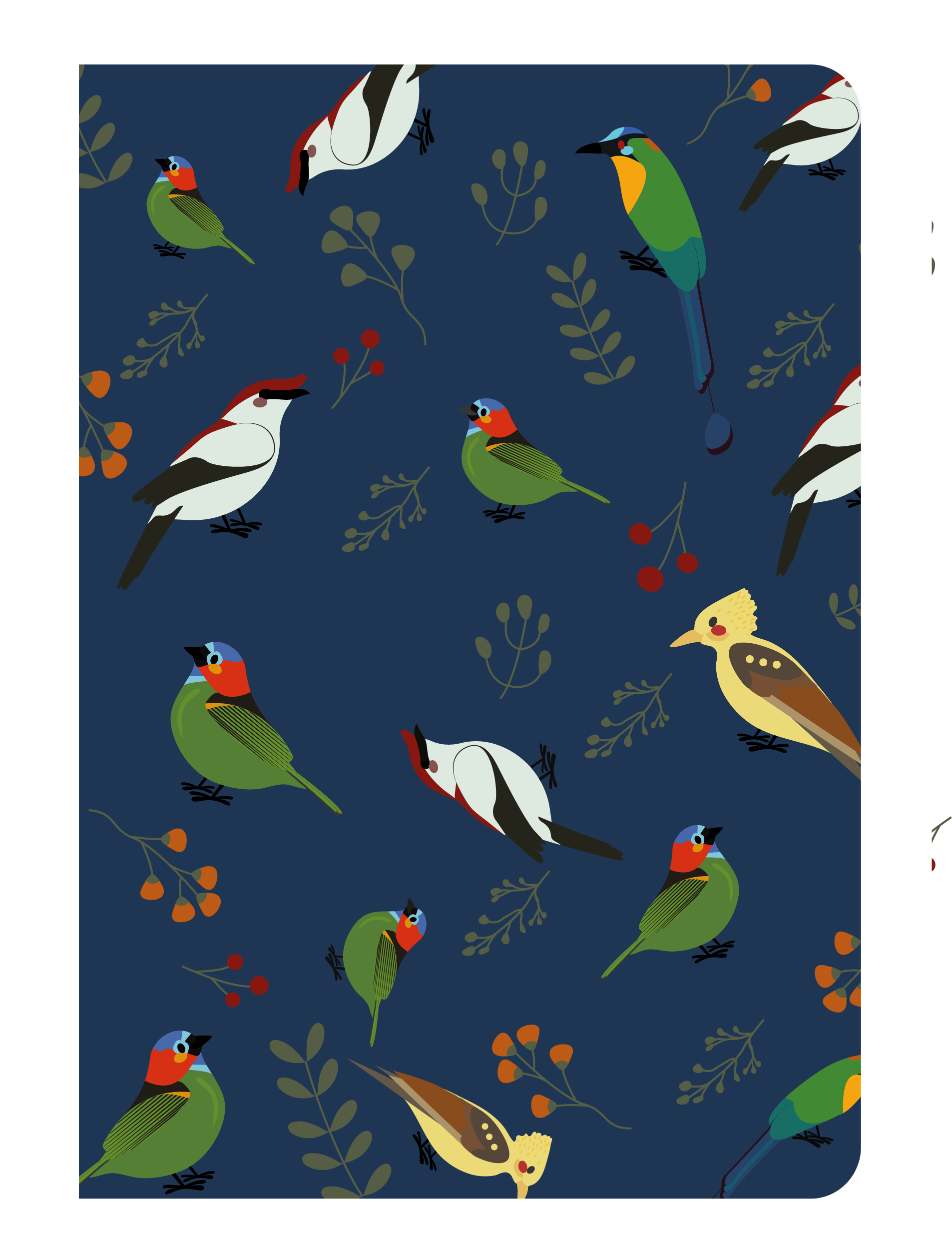 Cadernetas - Siará Birds