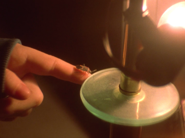 Screen Shot 2022-01-10 at 7.35.10 PM.png